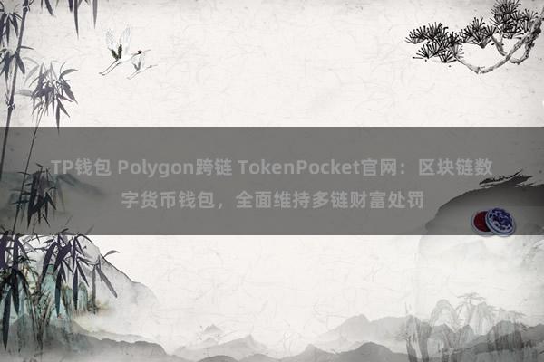 TP钱包 Polygon跨链 TokenPocket官网：区块链数字货币钱包，全面维持多链财富处罚